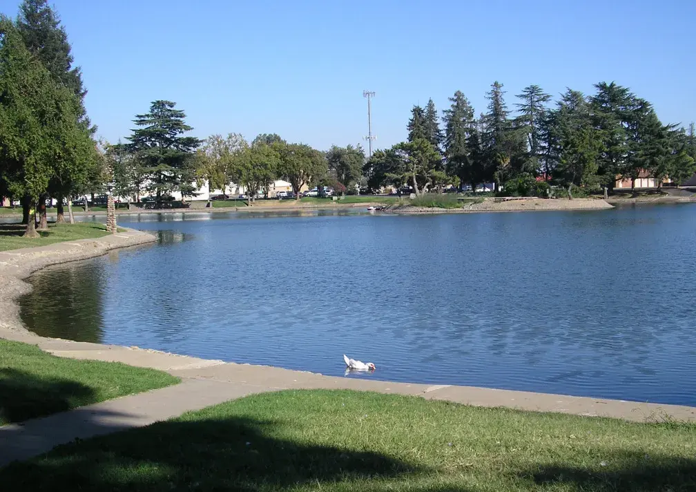 Ellis Lake in Marysville on a clear day, with mature trees along the far shore