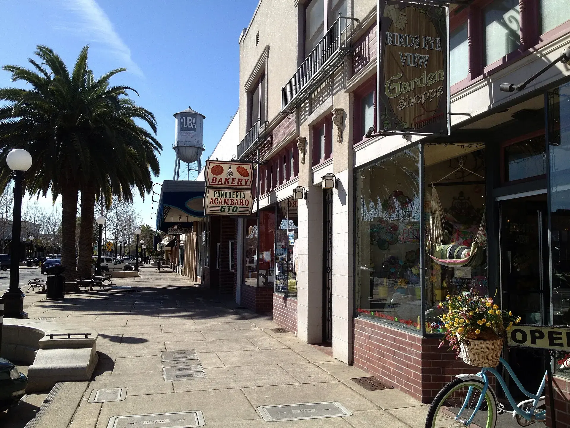 Downtown Yuba City: shopfronts and palms along Plumas Street, with the city water tower behind
