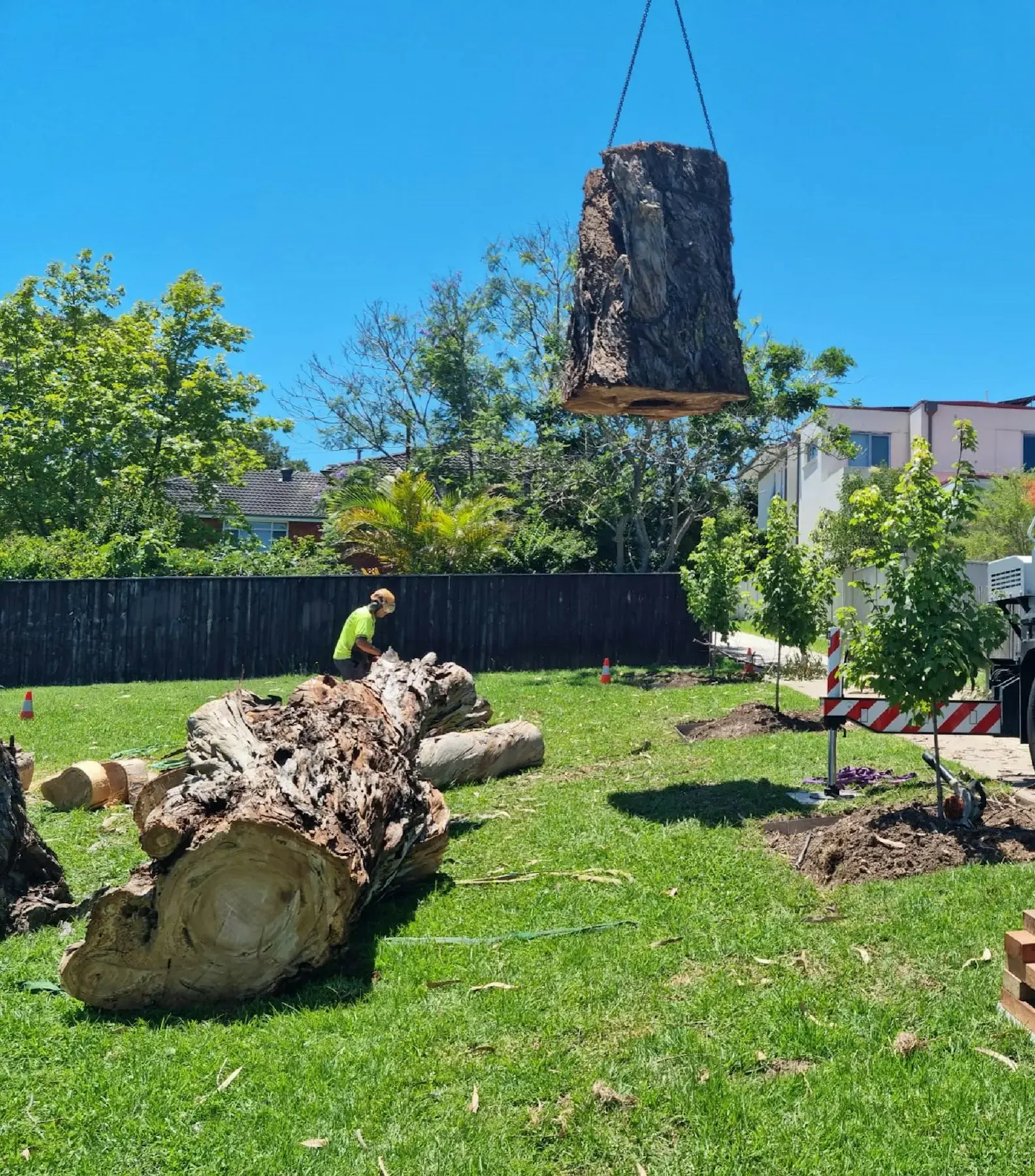 A crane lifting a cut tree trunk out of a front yard while a worker stacks the logs on the lawn